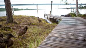 Yksityinen ranta