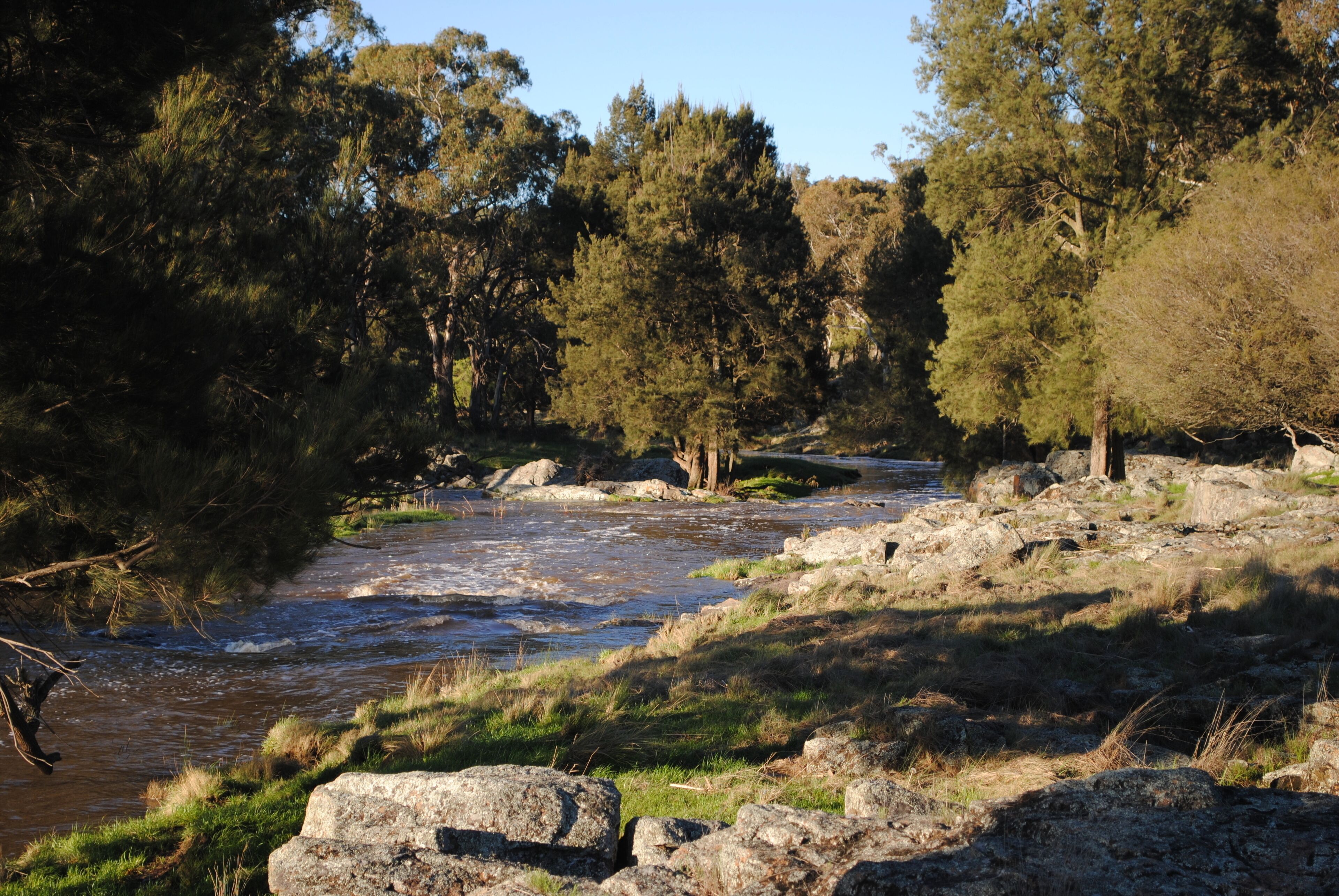 Fabulous Country Stay on New England Cattle & Sheep Property