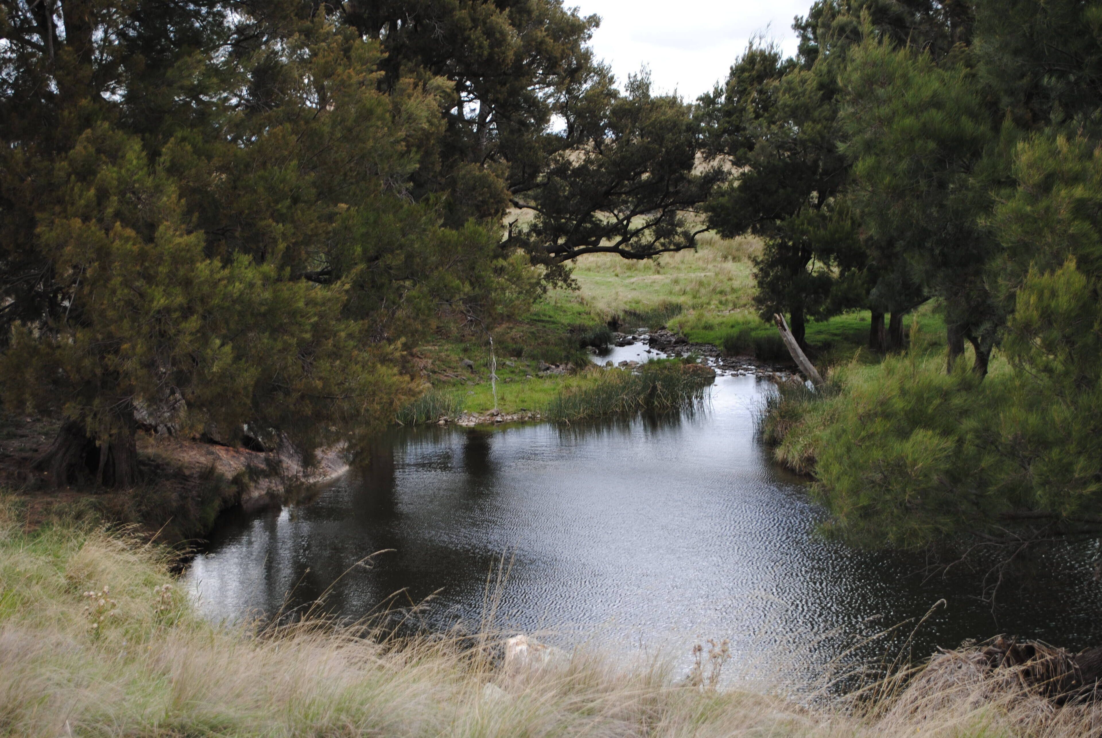 Fabulous Country Stay on New England Cattle & Sheep Property