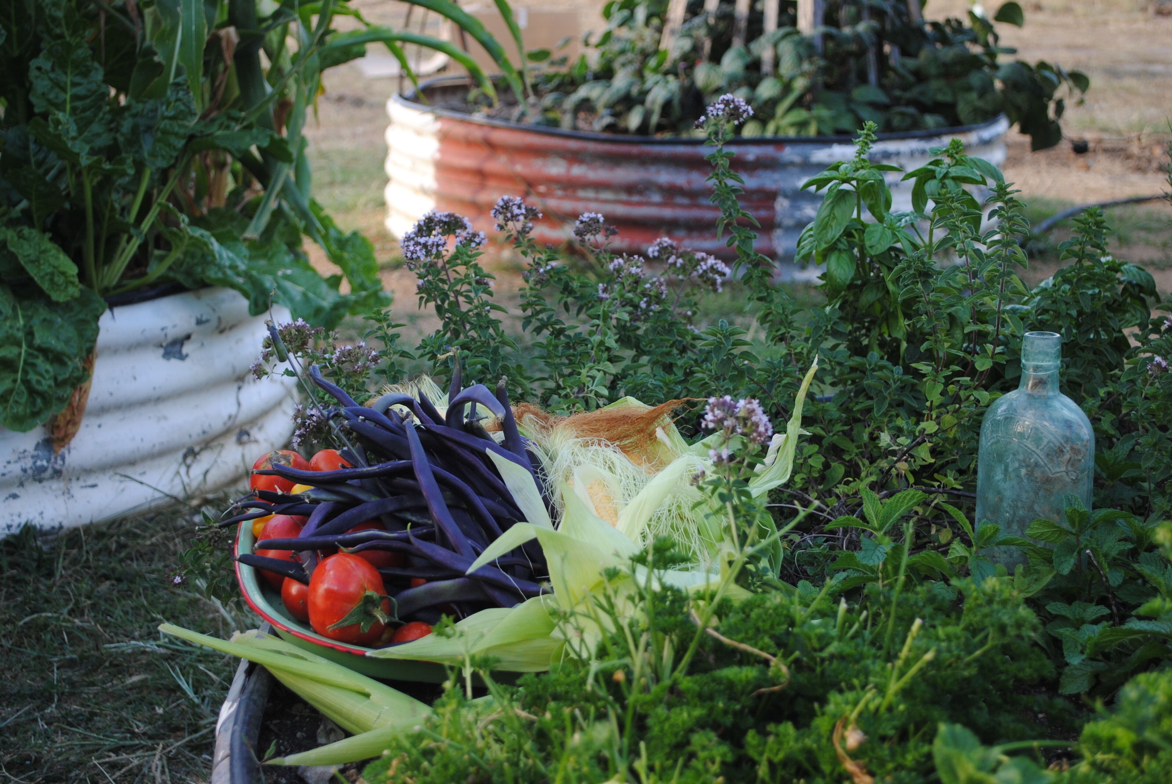 Fabulous Country Stay on New England Cattle & Sheep Property