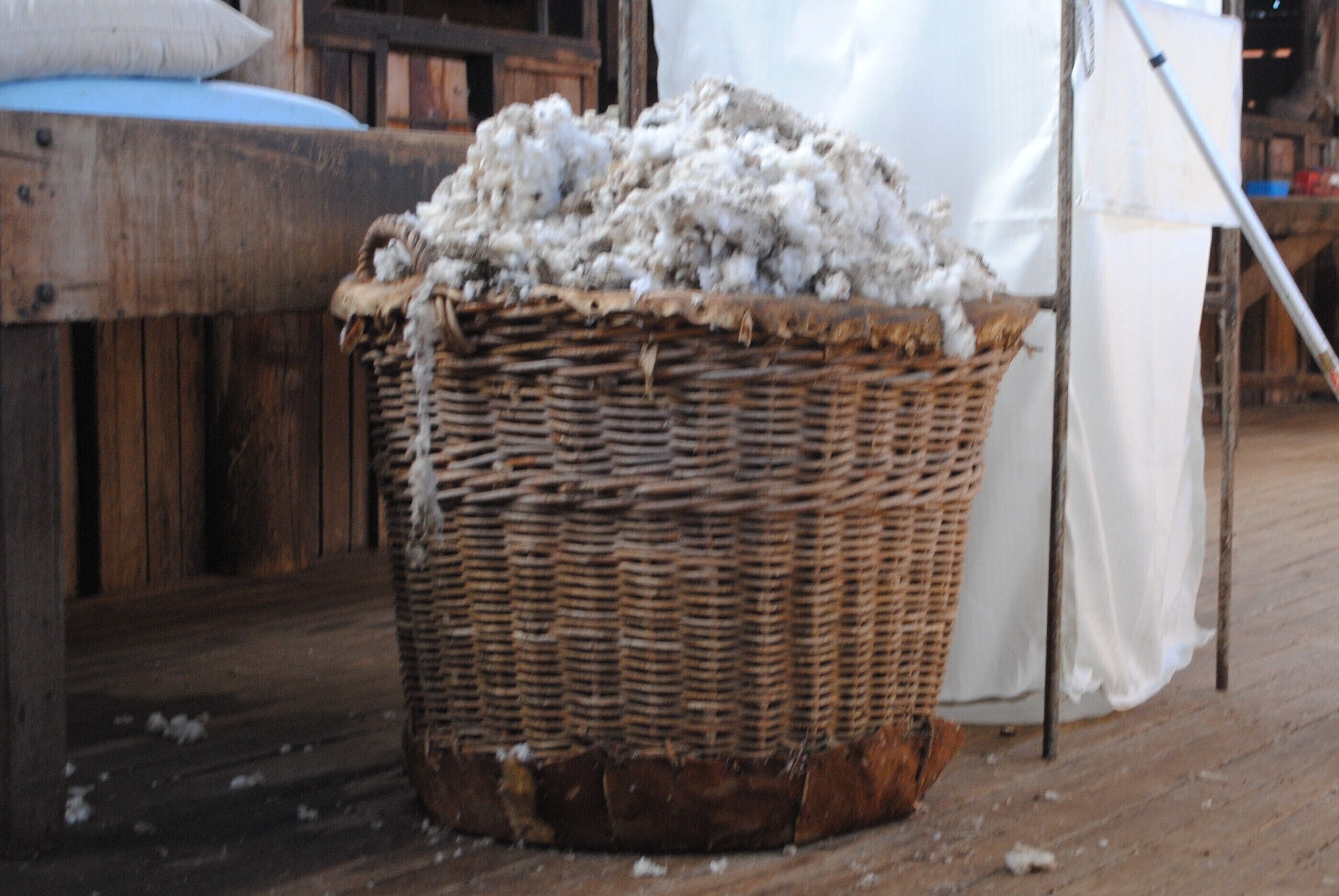 Fabulous Country Stay on New England Cattle & Sheep Property