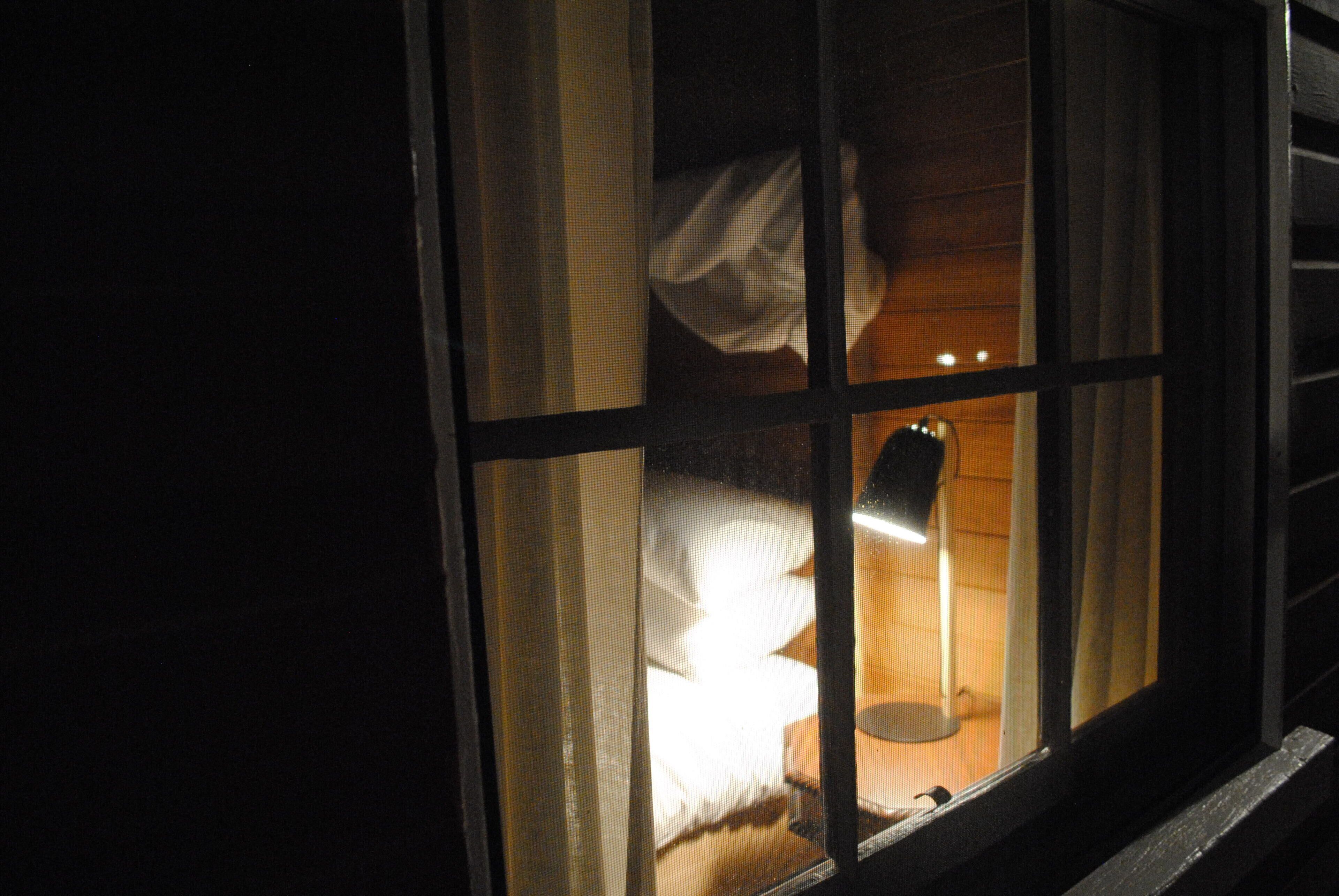 Fabulous Country Stay on New England Cattle & Sheep Property