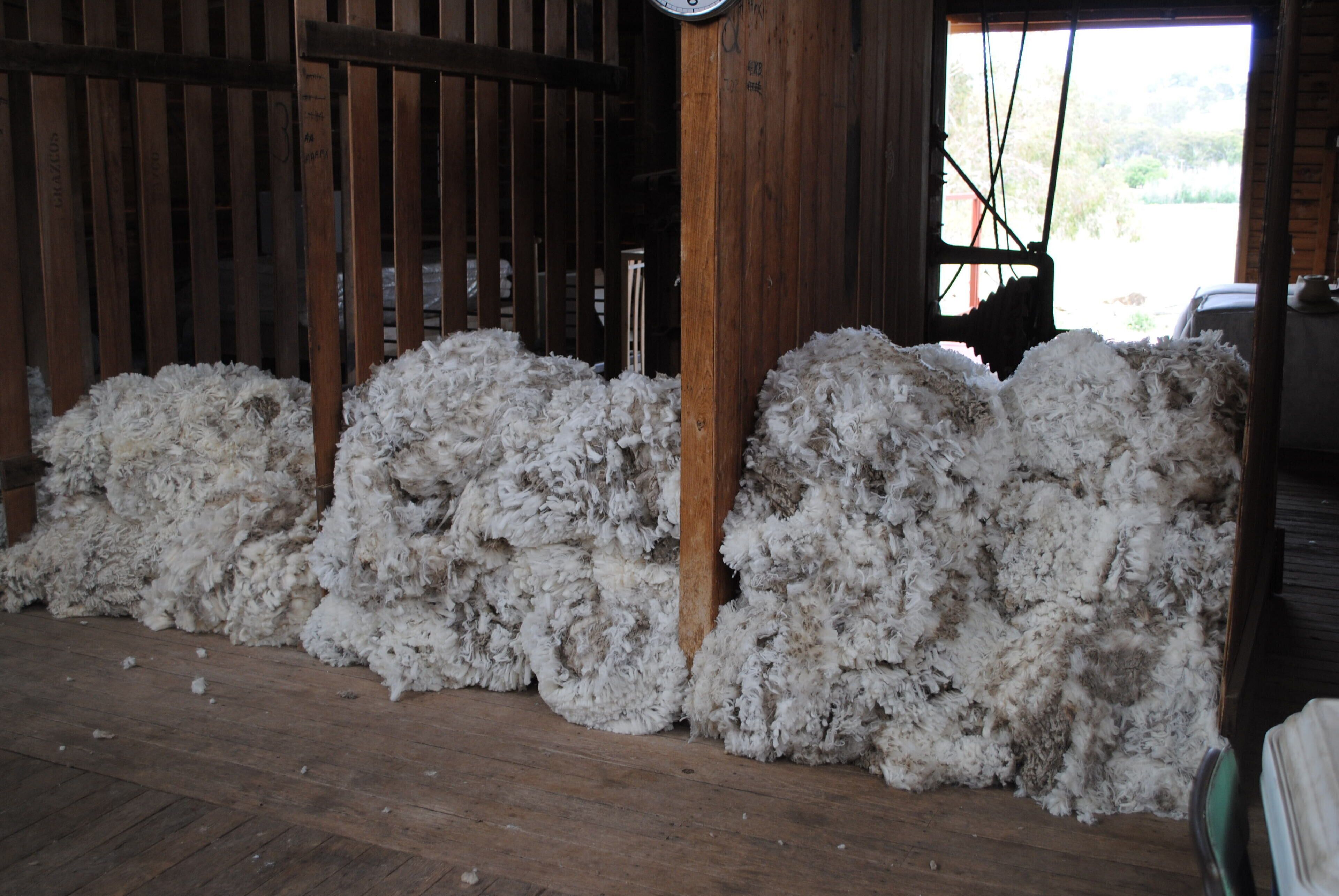 Fabulous Country Stay on New England Cattle & Sheep Property