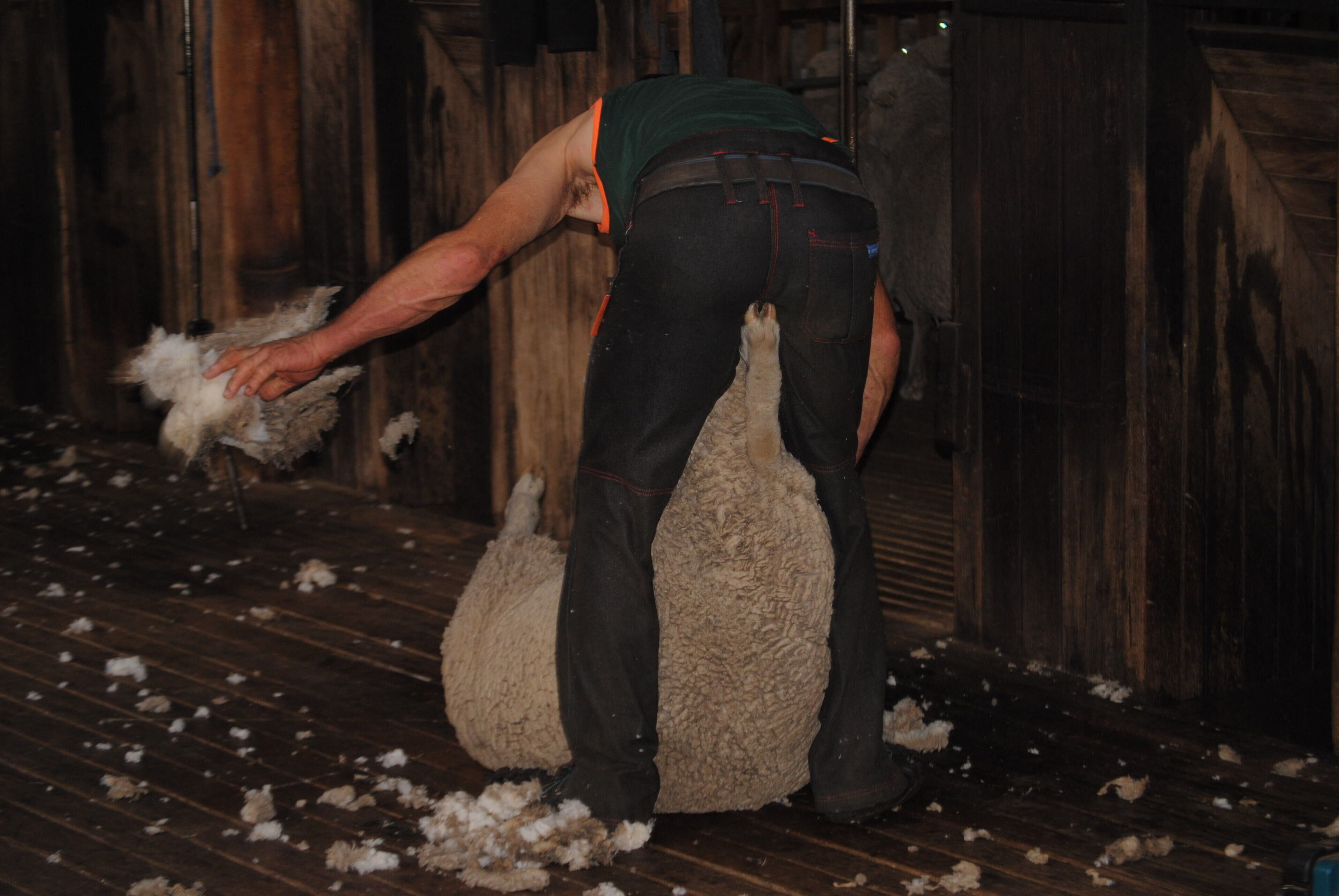 Fabulous Country Stay on New England Cattle & Sheep Property