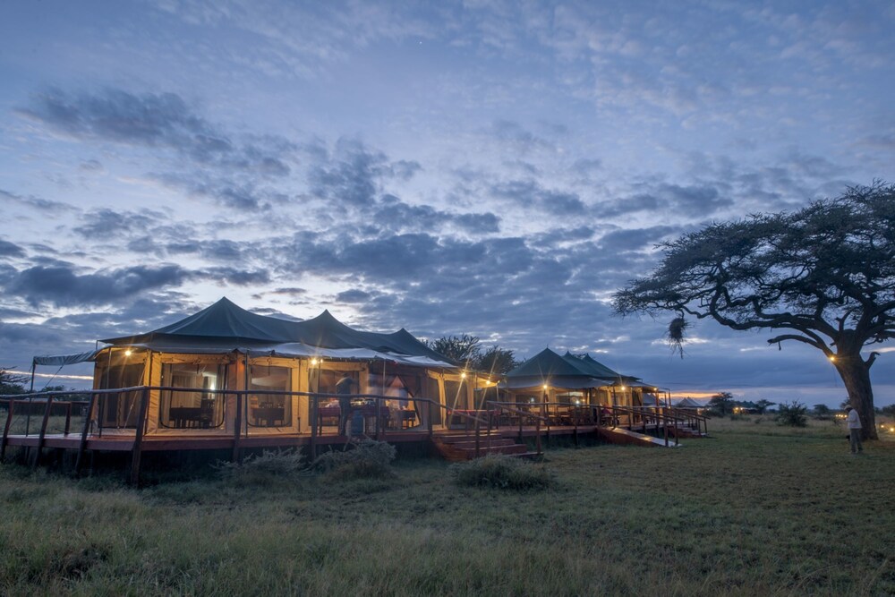 Acacia Seronera Luxury Camp in Serengeti | Best Rates & Deals on Orbitz
