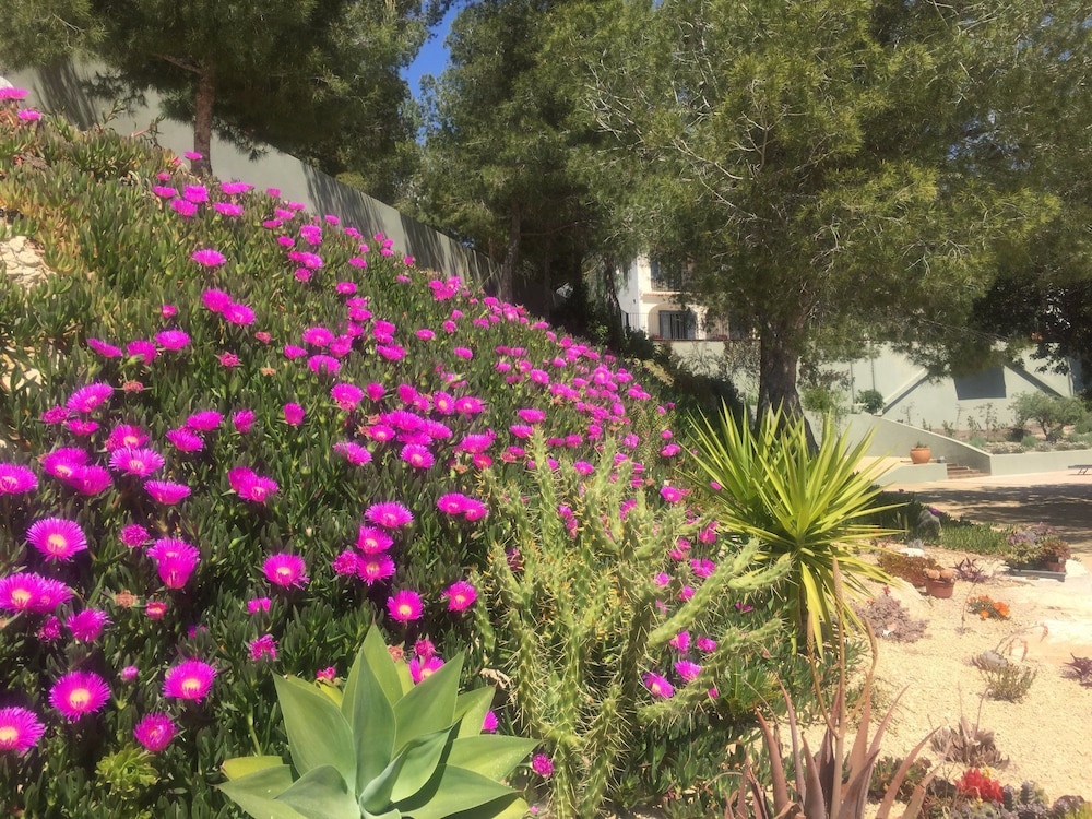 Foto - Finca El Otero