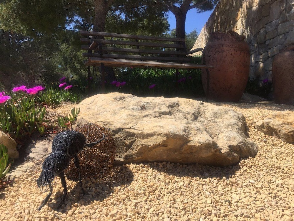 Foto - Finca El Otero