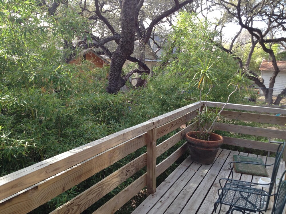  Garage treehouse apartment, walking distance to downtown, SoCo. 