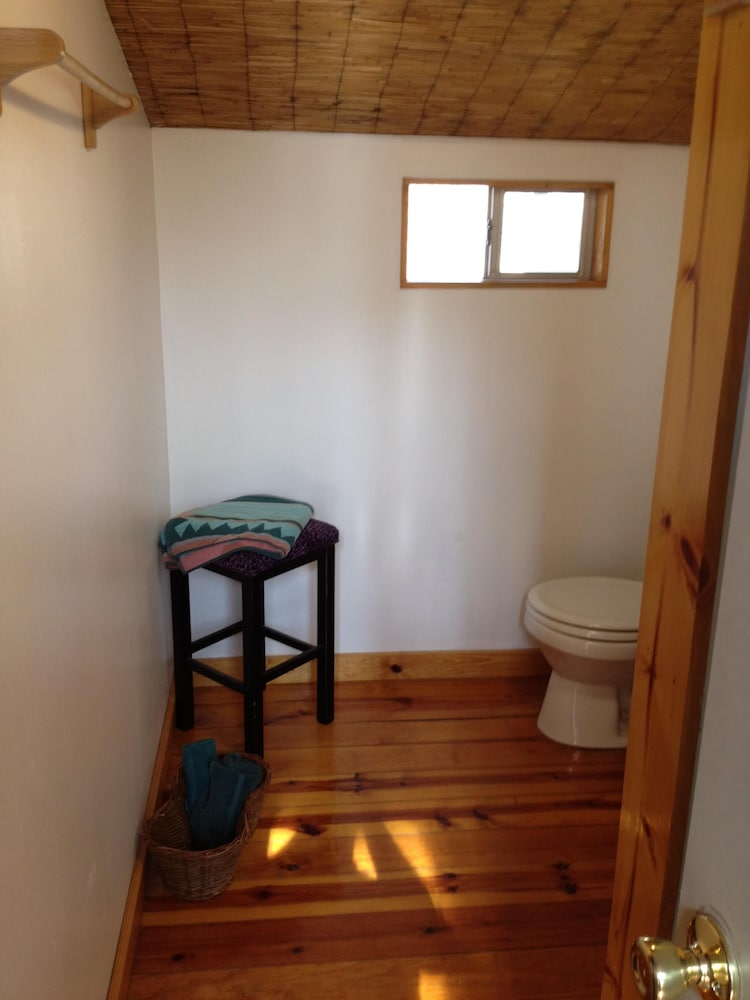  Garage treehouse apartment, walking distance to downtown, SoCo. 