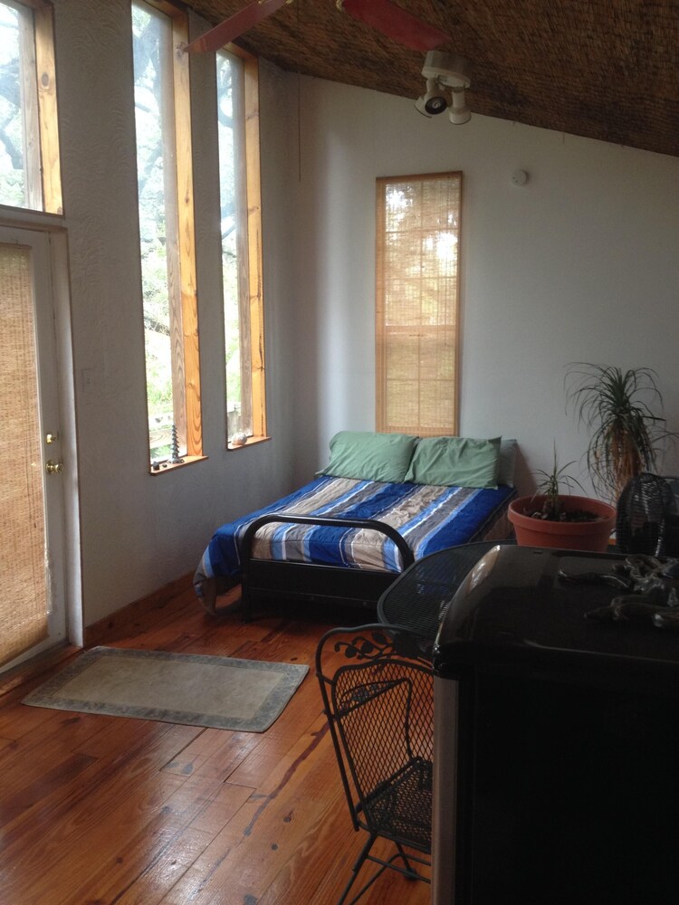  Garage treehouse apartment, walking distance to downtown, SoCo. 