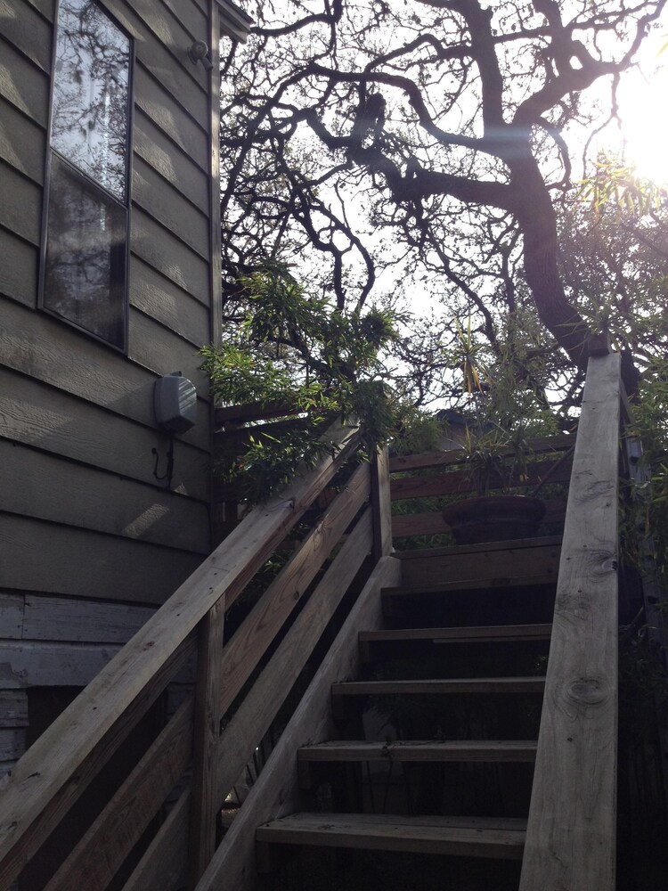  Garage treehouse apartment, walking distance to downtown, SoCo. 