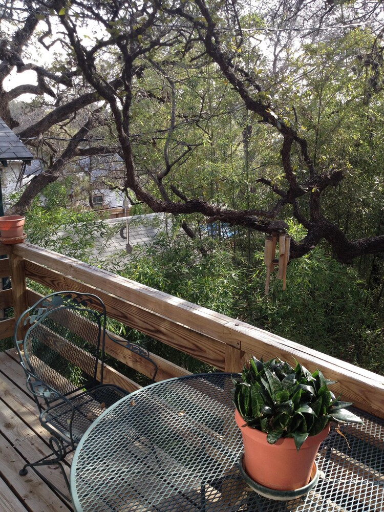  Garage treehouse apartment, walking distance to downtown, SoCo. 