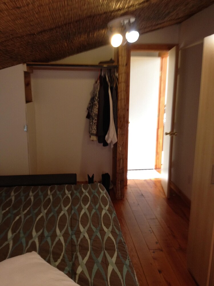  Garage treehouse apartment, walking distance to downtown, SoCo. 