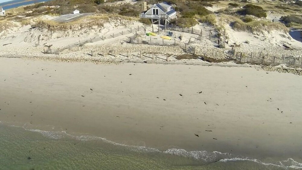 Direct Ocean Front Beach House on Saquish Beach! Paradise in Plymouth/Duxbury! , Duxbury Room