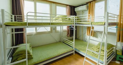 Panda Guesthouse - Hostel