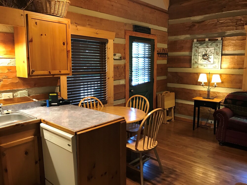 Smoky Mountain Cabin Warm & Cozy Near Convention Center!