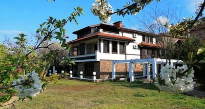 Dream House
