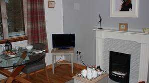 Flat-screen TV