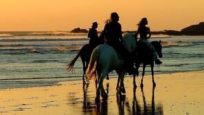 Playa