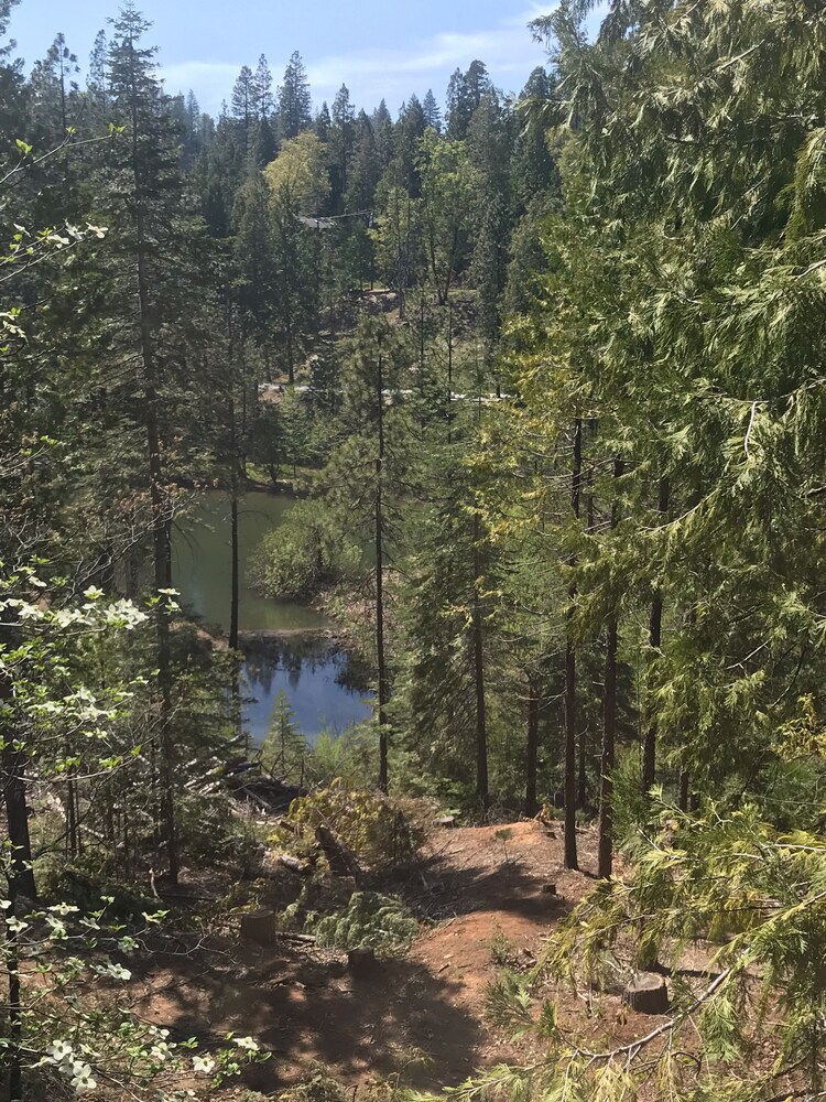 to Pine Lake Lodge A Stunning Sugar Pine Cabin! in MiWuk