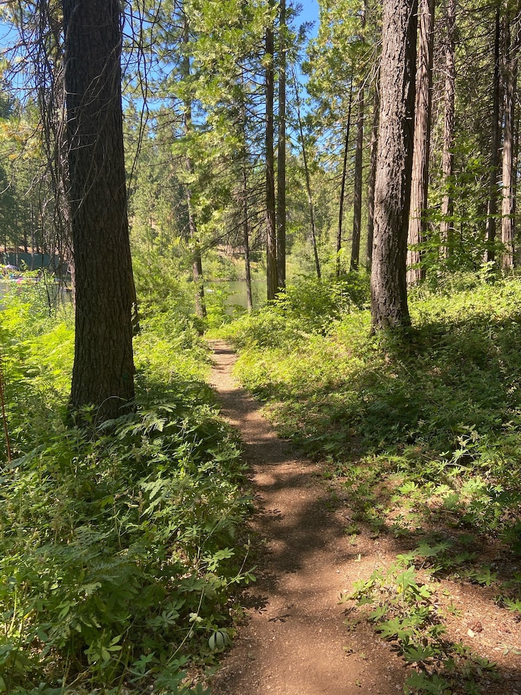 to Pine Lake Lodge A Stunning Sugar Pine Cabin! in MiWuk