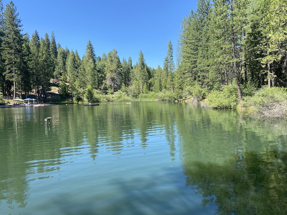 to Pine Lake Lodge A Stunning Sugar Pine Cabin!, MiWuk