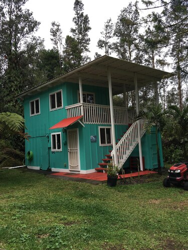 Cutest Comfy Cabin On 3 Acre Lime Orchard In The Jungle