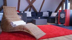 Smart-TV, Kamin