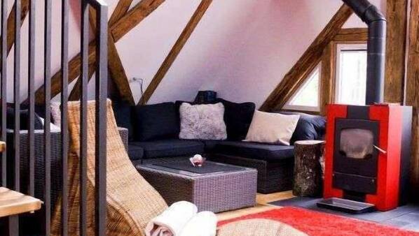 Smart-TV, Kamin
