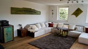 Smart-TV, Kamin
