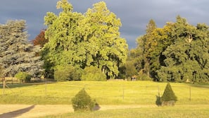 Vue de la chambre