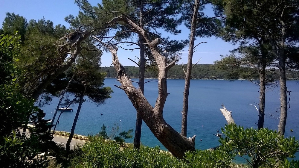 Studio Tina in Mali Losinj - 1 Br Apts in Mali Lošinj, Croatia