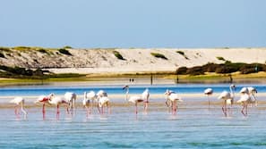 Beach nearby