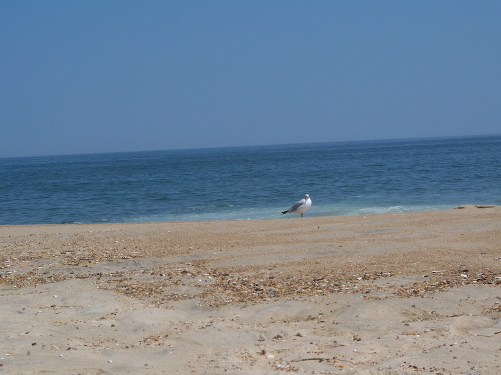 Refunds if beach closed by Delaware