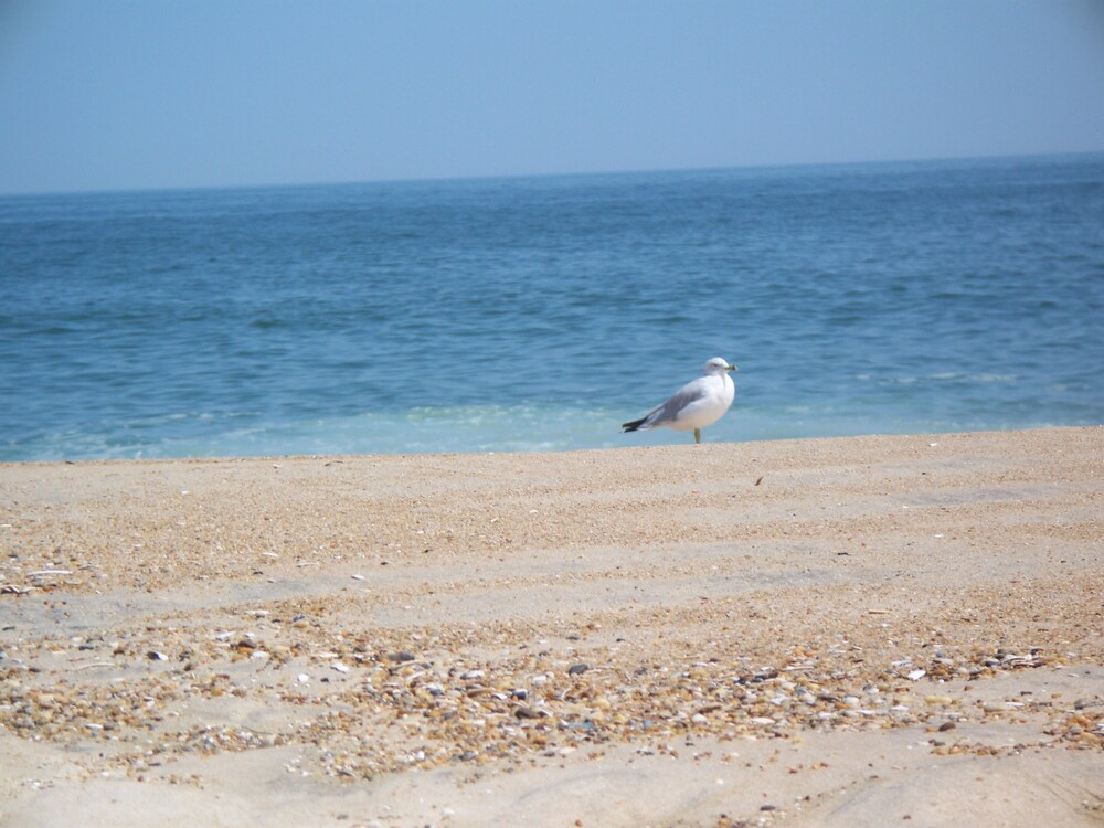 Refunds if beach closed by Delaware