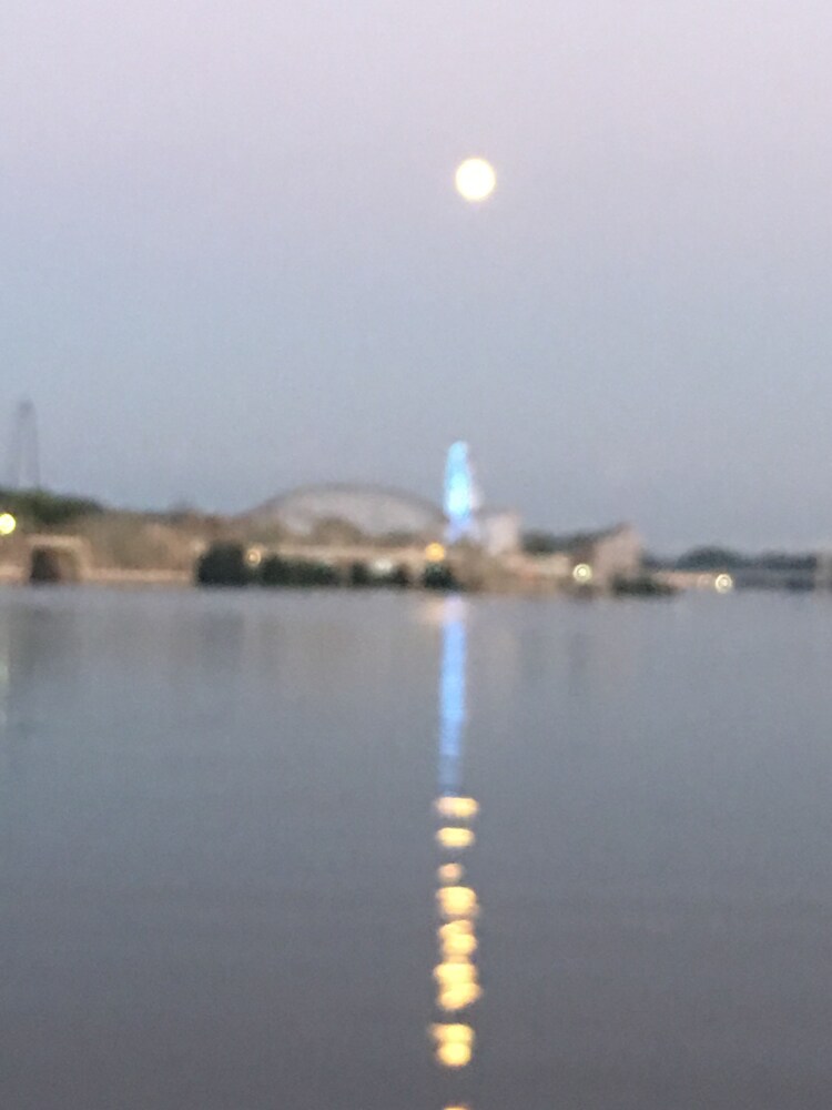 “Indiana Beach Rentals” on Shafer Lake, Near Amusement park. Boat