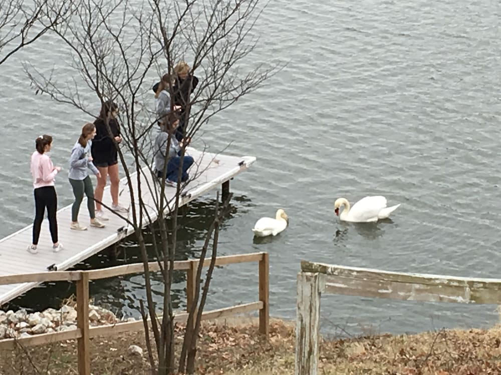 “Indiana Beach Rentals” on Shafer Lake, Near Amusement park. Boat