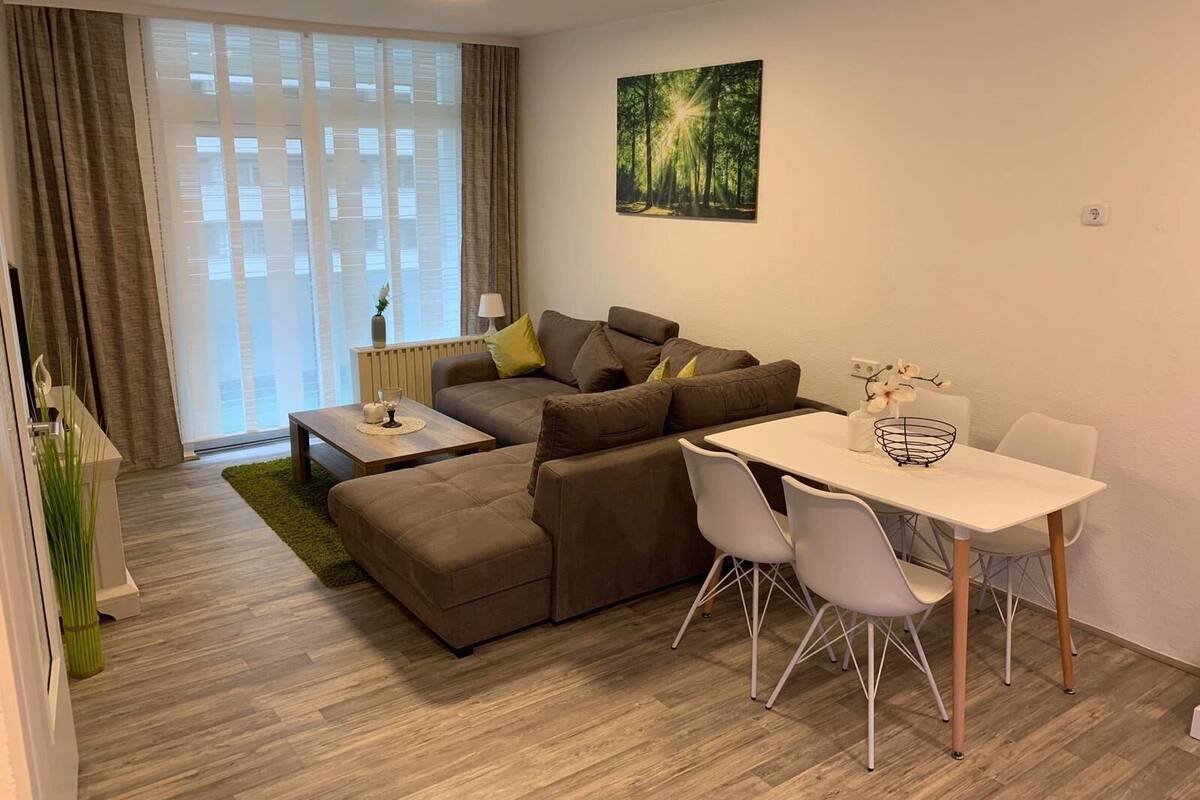 appartement a louer griffintown 4 1/2   95 appartement a louer griffintown 4 1/2   43