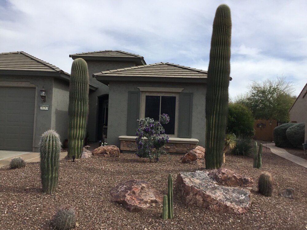 Rental in the best part of Sun City Festival Pet Friendly Buckeye