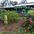 wish prabha lake view lodge