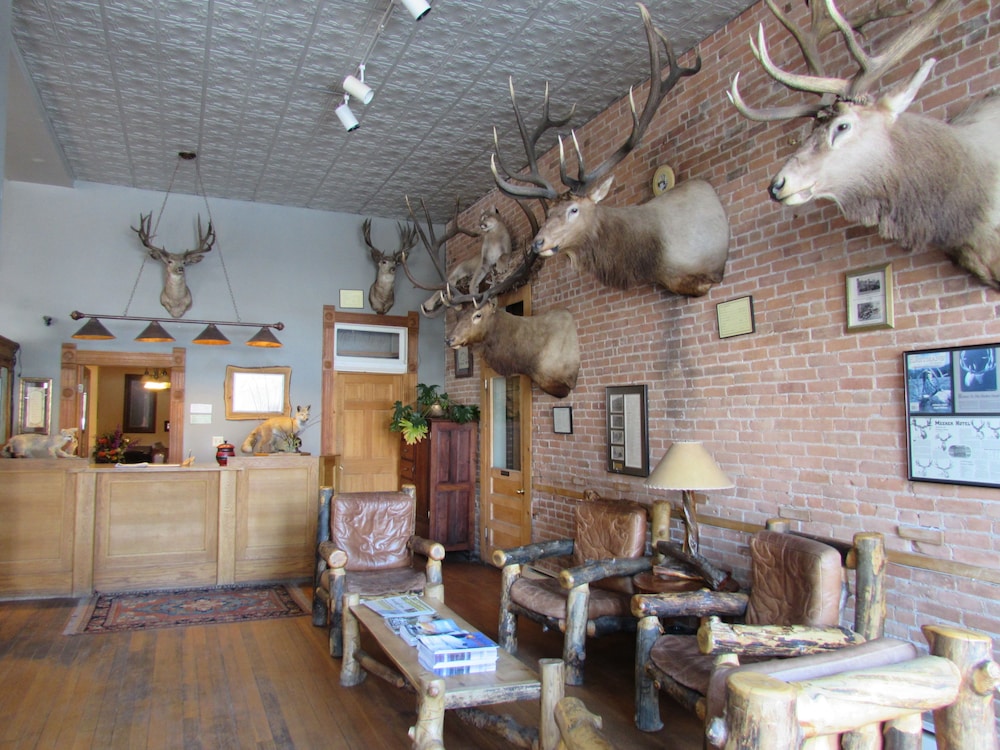 Hotel in meeker co? Hunt Talk