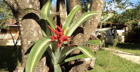 アチス ホテル コンセイサン ド マット デントロ 口コミ 宿泊料金 予約 エクスペディア アチス ホテル コンセイサン ド マット デントロ 口コミ 宿泊料金 予約 エクスペディア