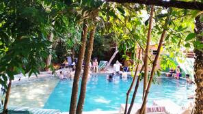 Outdoor pool, sun loungers