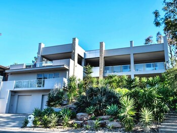 Hollywood Tree House