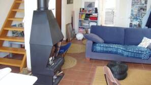 Télévision, cheminée, livres