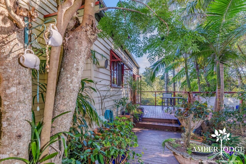 Amber Lodge Tamborine