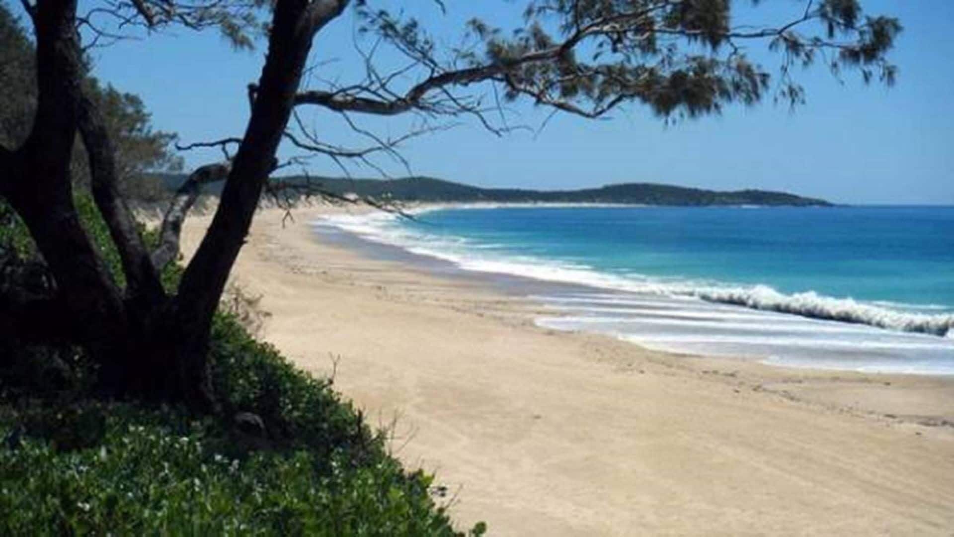 THE Purple Place - Wooli, NSW