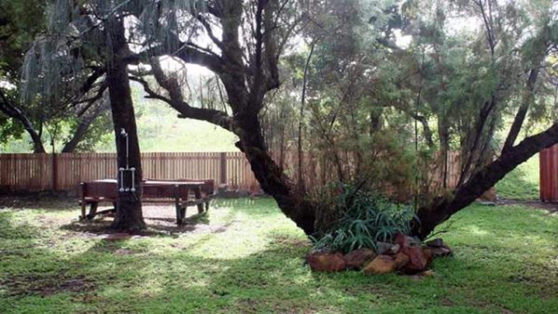 THE Purple Place - Wooli, NSW