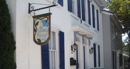 Tawsty Flower - Haines Suites