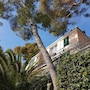 Lovely Apartment on the Ligurian Sea in Varazze, Italy